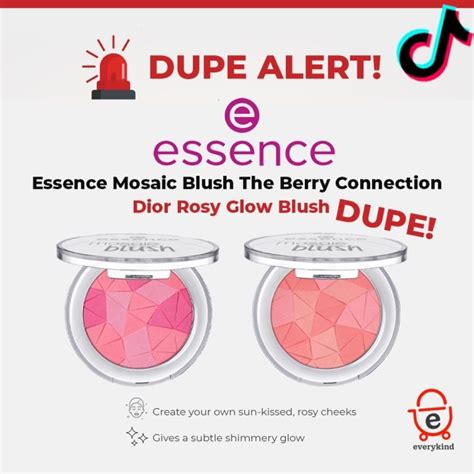 essence mosaic blush dior dupe|Dior blush.